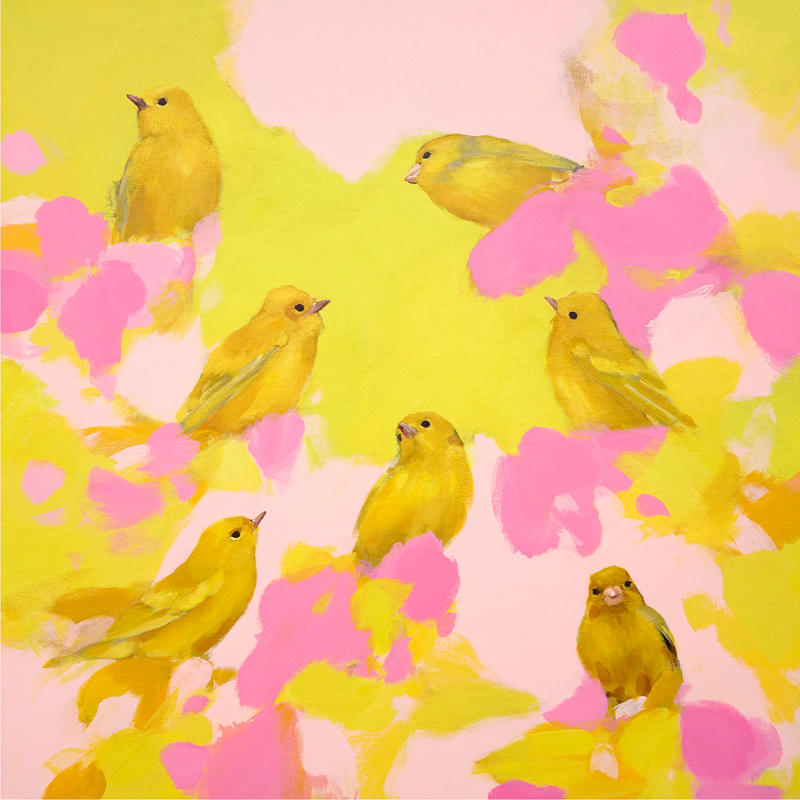 Heidi Langridge-Yellowbirds-in-pink