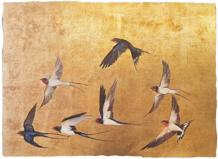 JM4102-Jackie-Morris-Golden-Flight-of-Swallows-signed-limited-edition-print