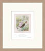 Beatrix-Potter-Tabitha-Twitchit