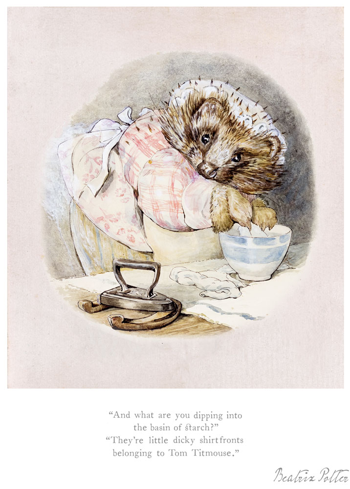 Beatrix-Potter-Mrs-Tiggy-winkle-Shirtfronts