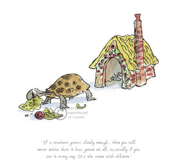 Roald Dahl & Quentin Blake - If a creature grows slowly